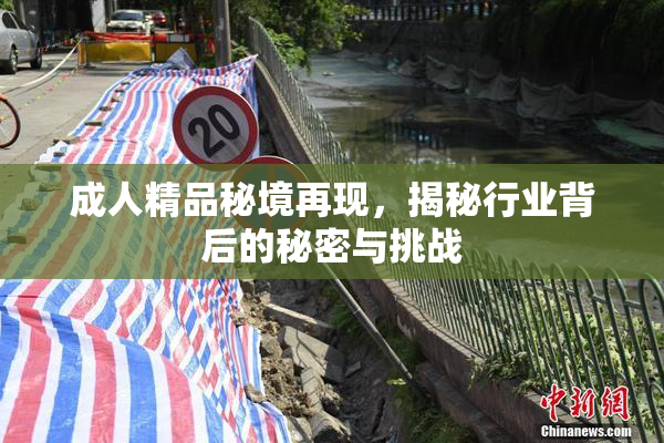 成人精品秘境再现，揭秘行业背后的秘密与挑战