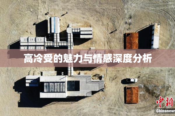 高冷受的魅力与情感深度分析