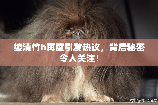绫清竹h再度引发热议，背后秘密令人关注！