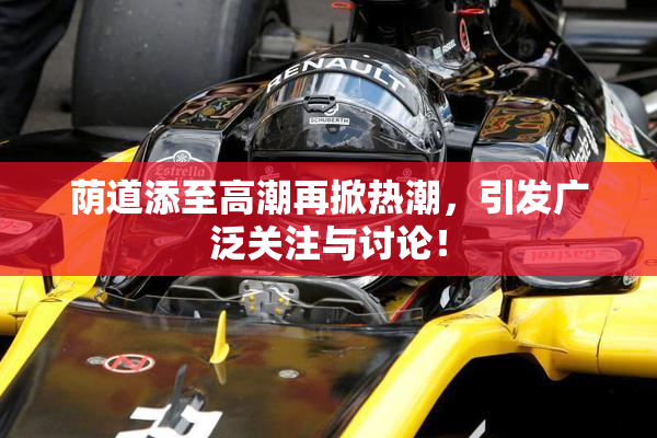荫道添至高潮再掀热潮，引发广泛关注与讨论！