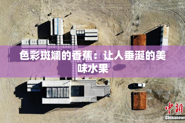 色彩斑斓的香蕉：让人垂涎的美味水果