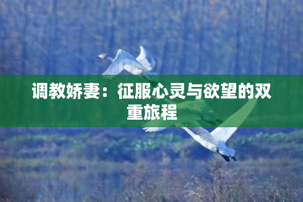 调教娇妻：征服心灵与欲望的双重旅程