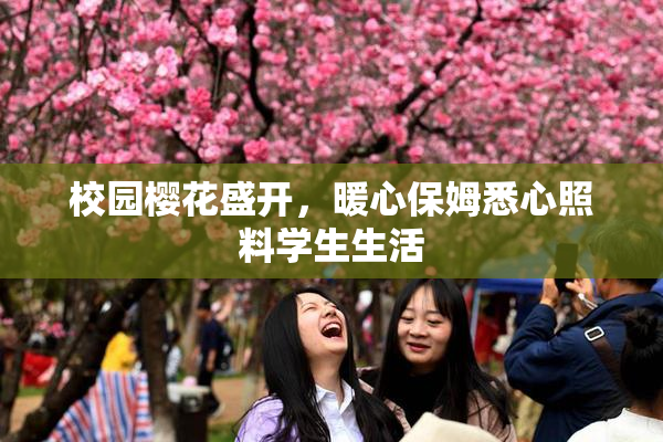 校园樱花盛开，暖心保姆悉心照料学生生活