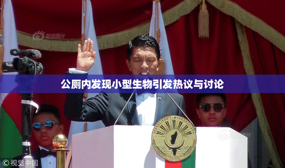 公厕内发现小型生物引发热议与讨论