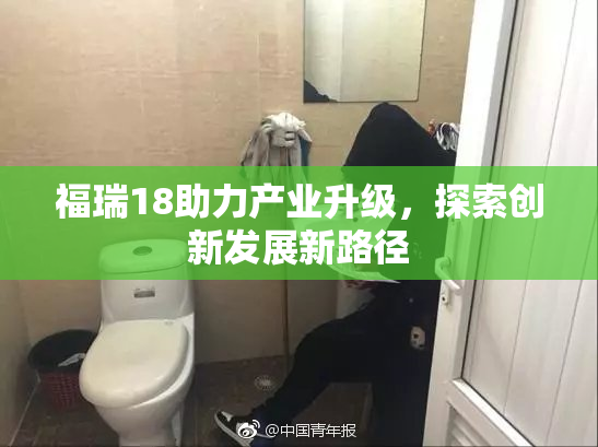 福瑞18助力产业升级，探索创新发展新路径