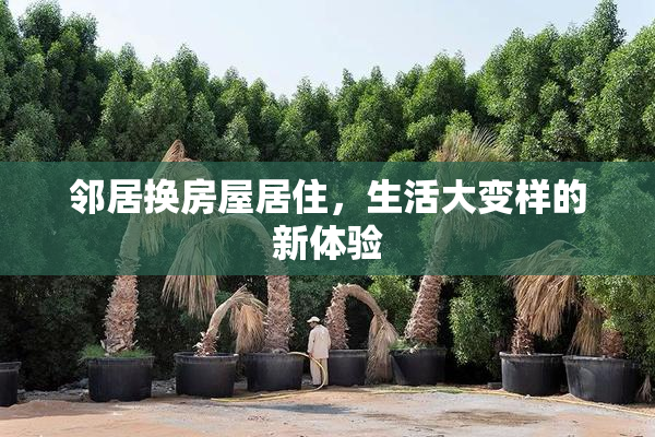 邻居换房屋居住，生活大变样的新体验