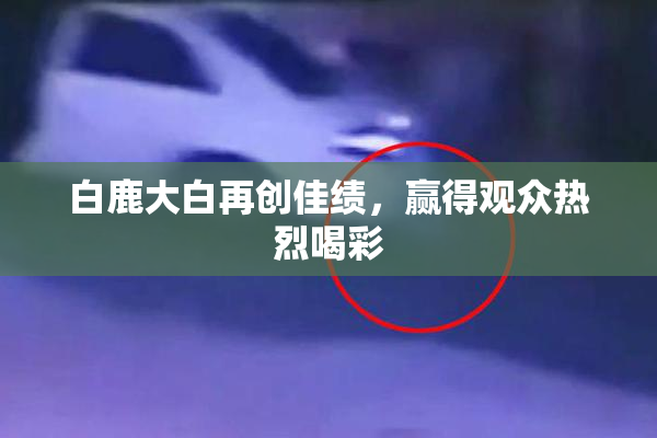白鹿大白再创佳绩，赢得观众热烈喝彩