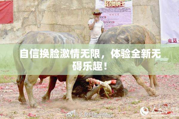 自信换脸激情无限，体验全新无碍乐趣！