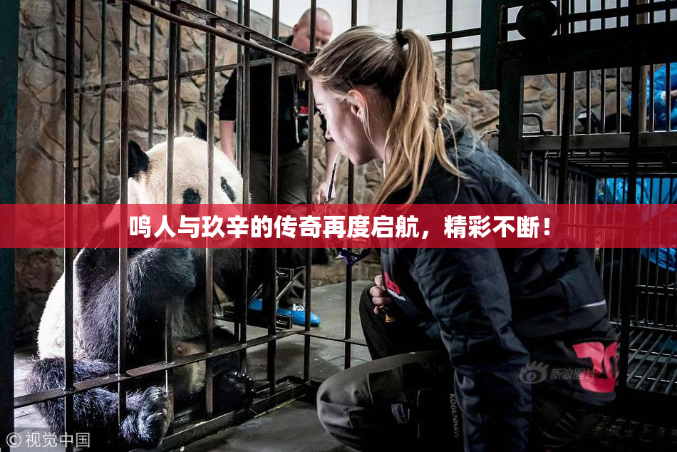 鸣人与玖辛的传奇再度启航，精彩不断！