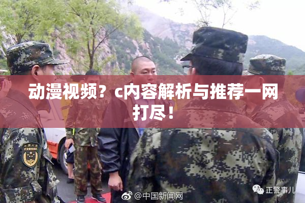 动漫视频？c内容解析与推荐一网打尽！