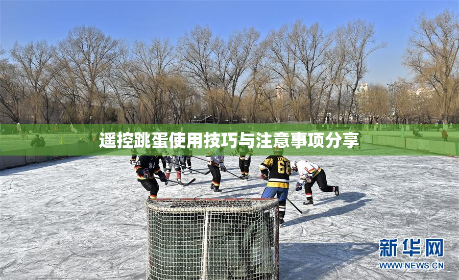 遥控跳蛋使用技巧与注意事项分享