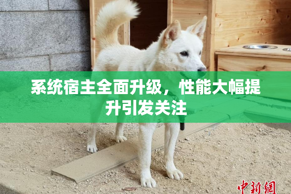 系统宿主全面升级，性能大幅提升引发关注