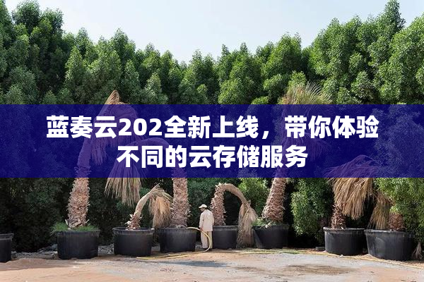 蓝奏云202全新上线，带你体验不同的云存储服务