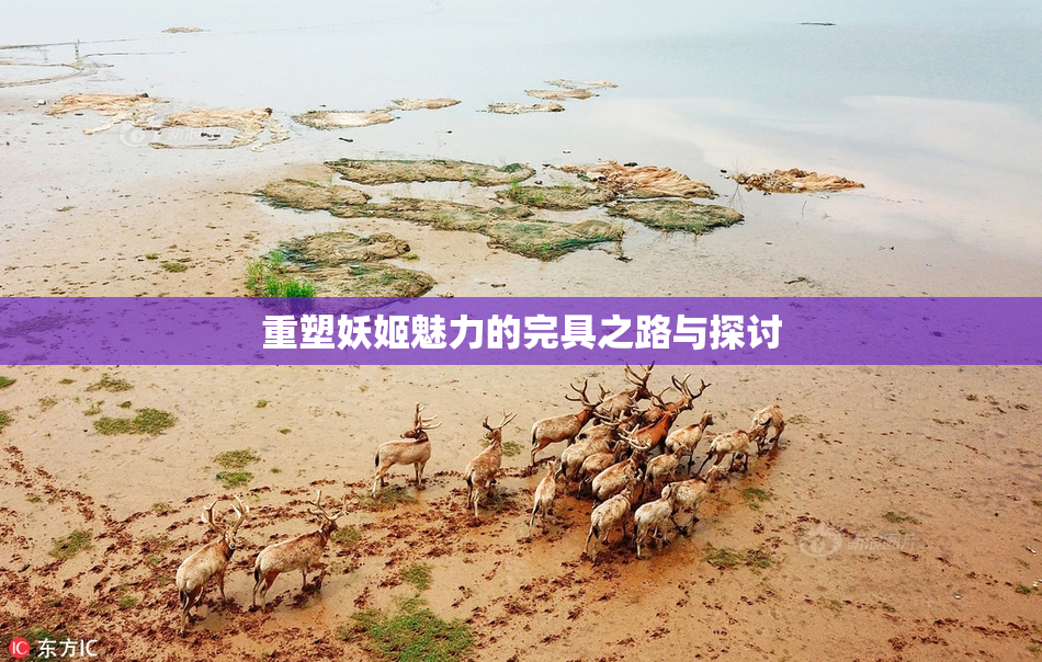 重塑妖姬魅力的完具之路与探讨