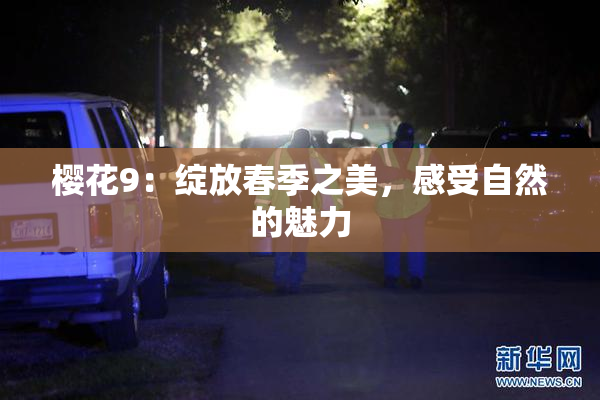 樱花9：绽放春季之美，感受自然的魅力