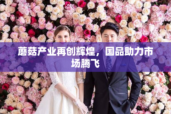 蘑菇产业再创辉煌，国品助力市场腾飞
