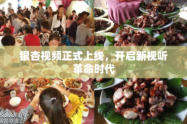 银杏视频正式上线，开启新视听革命时代
