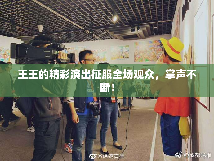 王王的精彩演出征服全场观众，掌声不断！