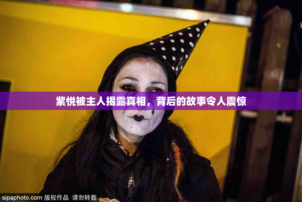 紫悦被主人揭露真相，背后的故事令人震惊