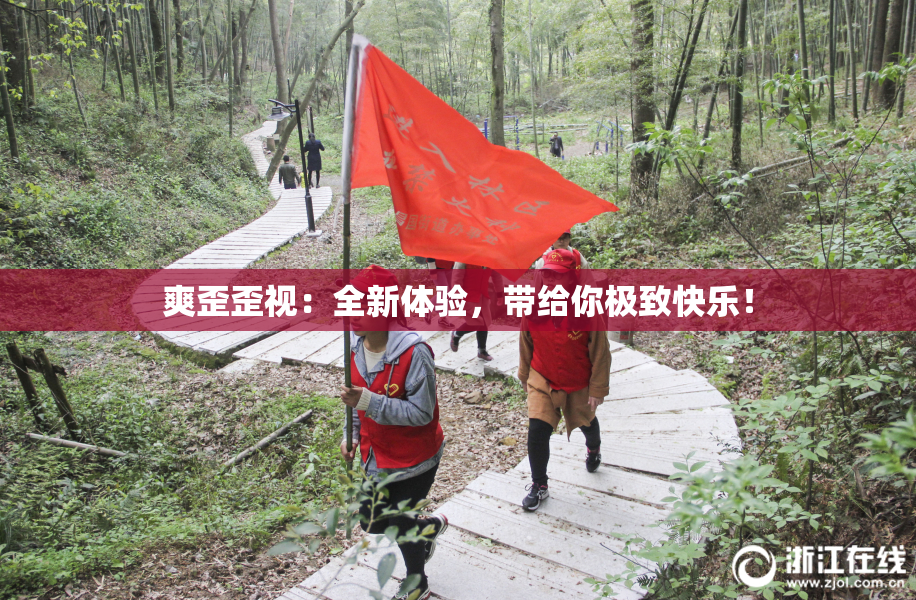 爽歪歪视：全新体验，带给你极致快乐！