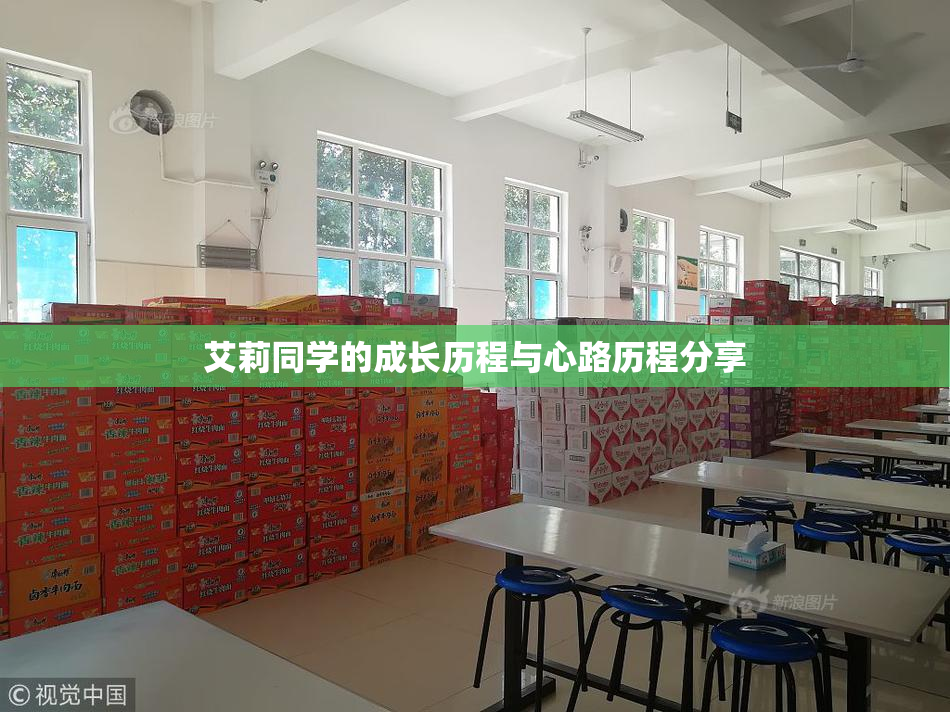 艾莉同学的成长历程与心路历程分享