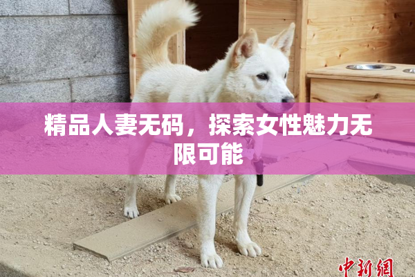 精品人妻无码，探索女性魅力无限可能