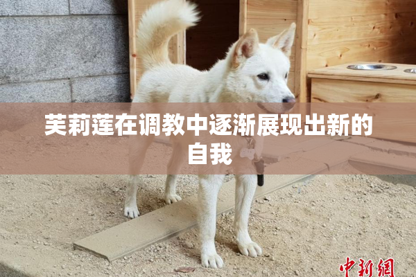 芙莉莲在调教中逐渐展现出新的自我