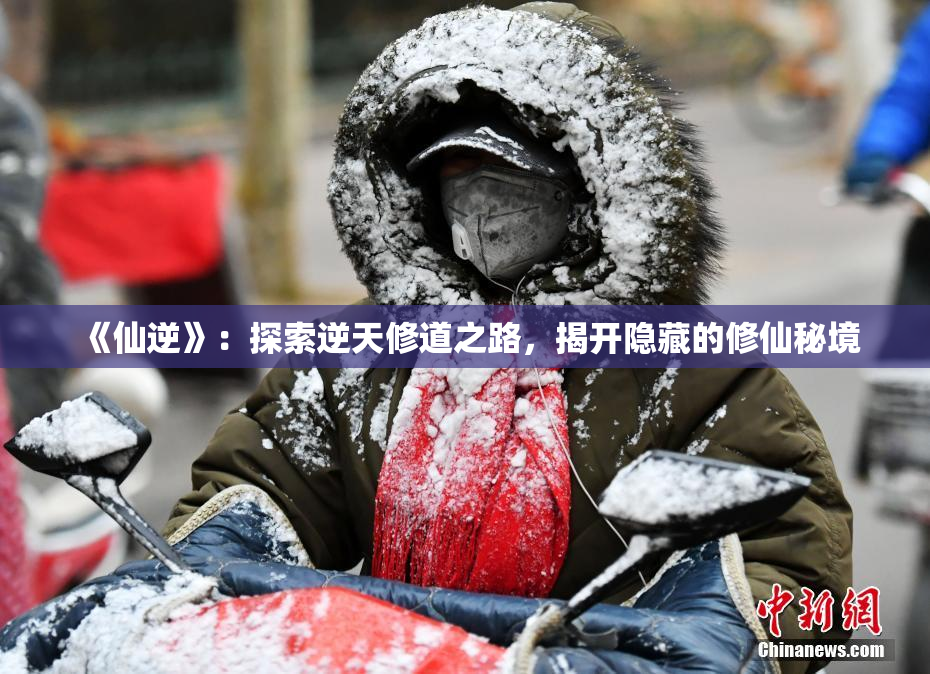 《仙逆》：探索逆天修道之路，揭开隐藏的修仙秘境
