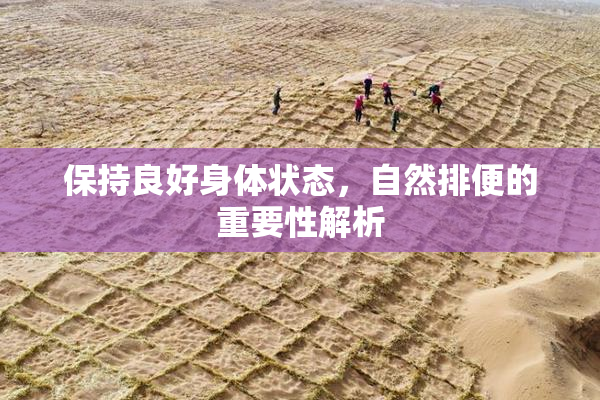 保持良好身体状态，自然排便的重要性解析