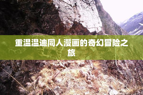 重温温迪同人漫画的奇幻冒险之旅