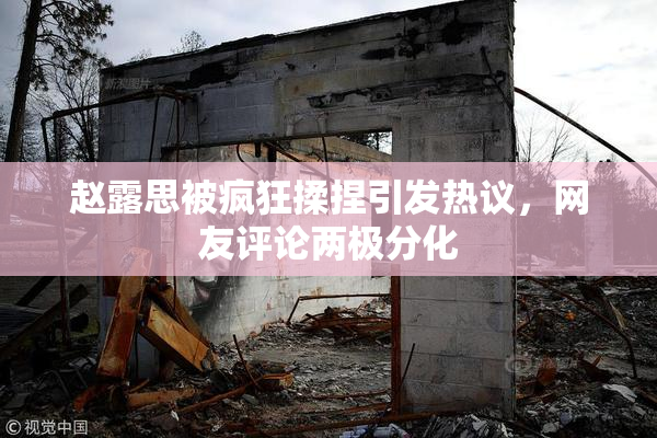 赵露思被疯狂揉捏引发热议，网友评论两极分化