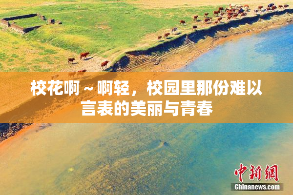 校花啊～啊轻，校园里那份难以言表的美丽与青春