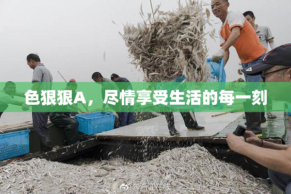 色狠狠A，尽情享受生活的每一刻