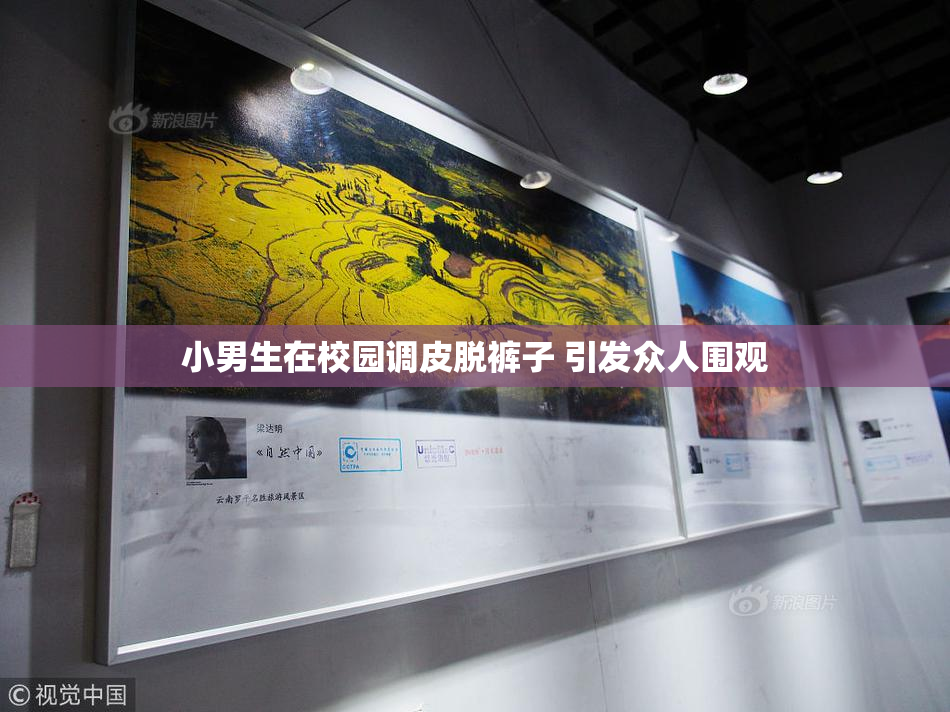 小男生在校园调皮脱裤子 引发众人围观