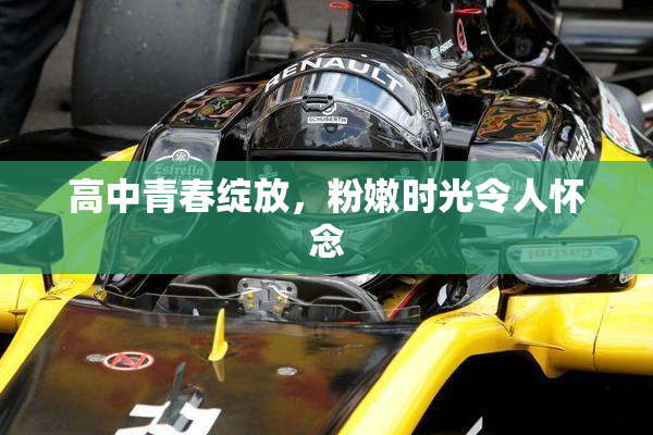 高中青春绽放，粉嫩时光令人怀念