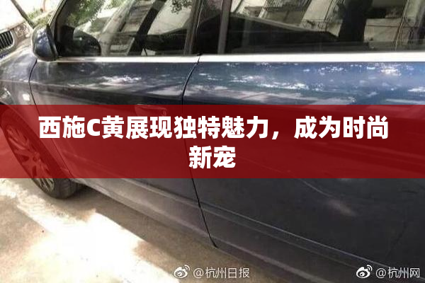 西施C黄展现独特魅力，成为时尚新宠