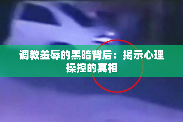 调教羞辱的黑暗背后：揭示心理操控的真相
