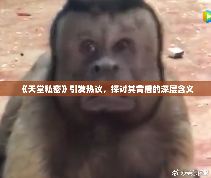 《天堂私密》引发热议，探讨其背后的深层含义