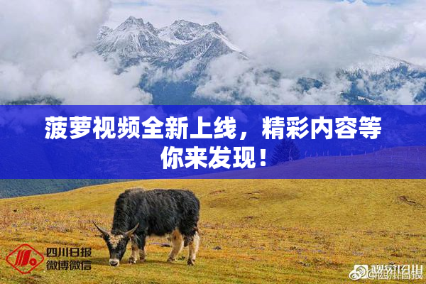 菠萝视频全新上线，精彩内容等你来发现！