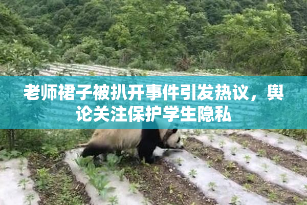 老师裙子被扒开事件引发热议，舆论关注保护学生隐私