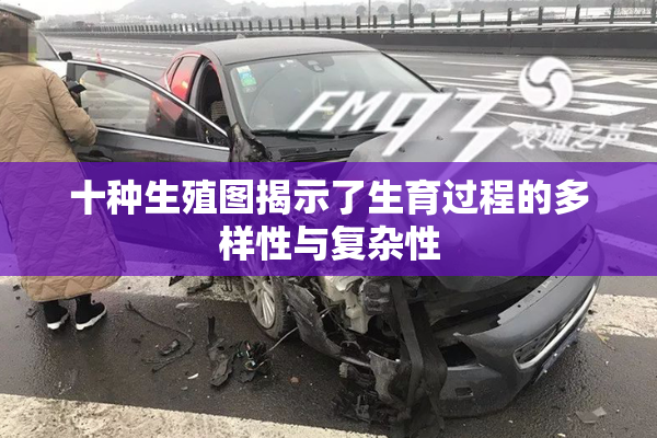 十种生殖图揭示了生育过程的多样性与复杂性