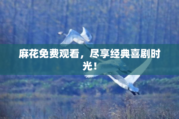 麻花免费观看，尽享经典喜剧时光！