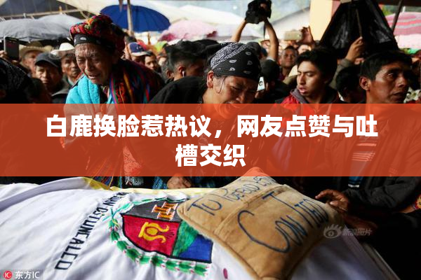 白鹿换脸惹热议，网友点赞与吐槽交织
