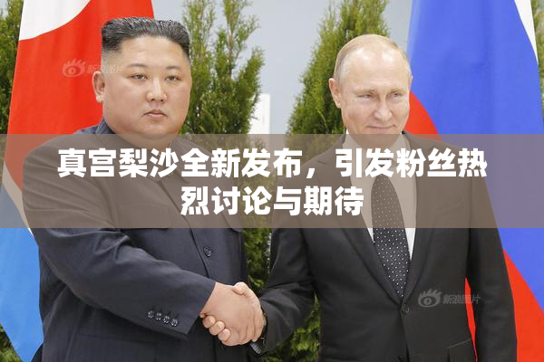 真宫梨沙全新发布，引发粉丝热烈讨论与期待