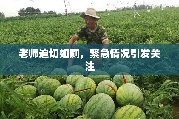 老师迫切如厕，紧急情况引发关注