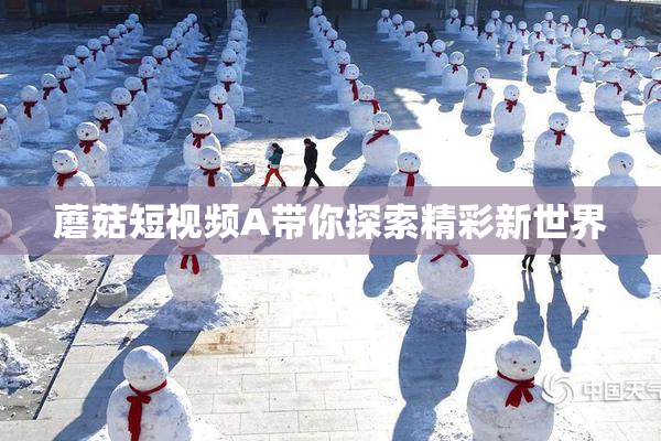 蘑菇短视频A带你探索精彩新世界