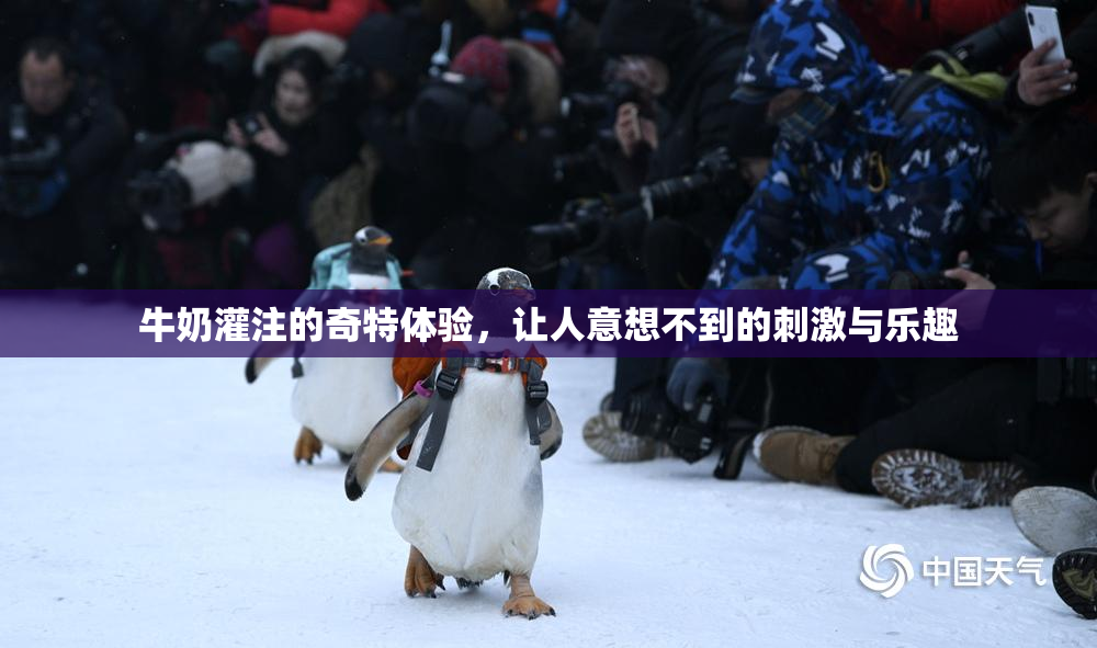 牛奶灌注的奇特体验，让人意想不到的刺激与乐趣