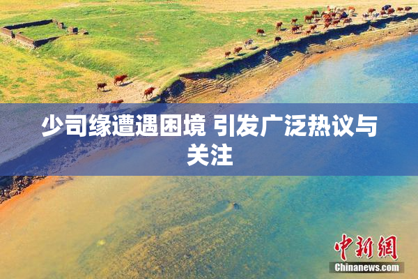 少司缘遭遇困境 引发广泛热议与关注