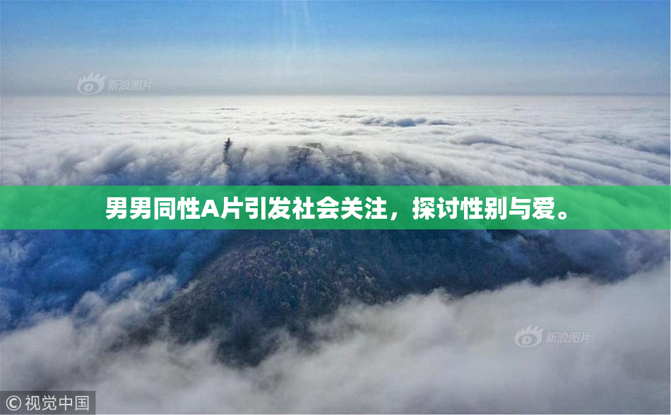 男男同性A片引发社会关注，探讨性别与爱。