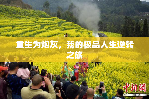 重生为炮灰，我的极品人生逆转之旅